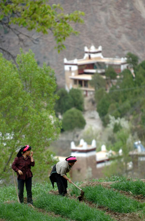 Two Tibetan women work their field in Jiaju Tibetan Village in Tibetan Autonomous Prefecture of Garze in southwest China's Sichuan Province, March 24, 2009. 