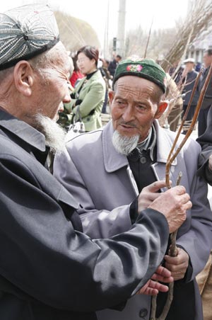 Two residents select saplings on the bazaar in Hami, northwest China's Xinjiang Uygur Autonomous Region on March 27, 2009.