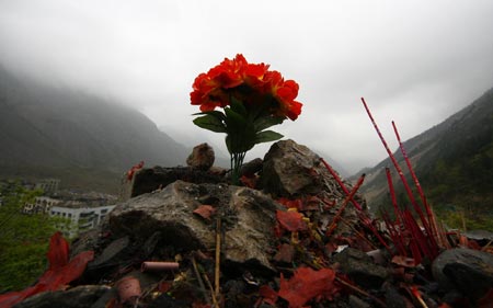 The photo taken on April 2, 2009 shows a sprig of carnation placed on a stone to memorize the passed relatives in May 12 Earthquake, in Beichuan, a quake-jolted county of southwest China's Sichuan Province. The ruined city of Beichuan County, once closed to avert pestilence, is opened to the public from April 1 to 4 so that people could offer sacrifices to their deceased relatives and friends in the May 12 Earthquake. 