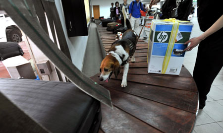 A sniffer dog checks passenger luggages on arrival at the Tianhe Airport near Wuhan, capital city of central China's Hubei Province on April 28, 2009.