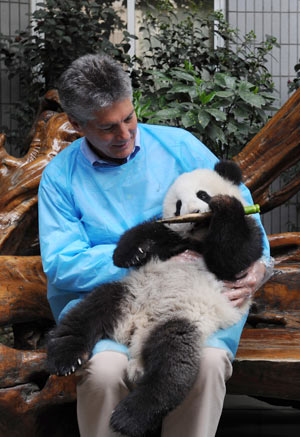 Australian Foreign Minister Stephen Smith holds a giant panda at the Chengdu gaint panda breeding base in Chengdu, capital of southwest China's Sichuan Province, on March 25, 2009. Stephen Smith visited Sichuan Province on Wednesday.