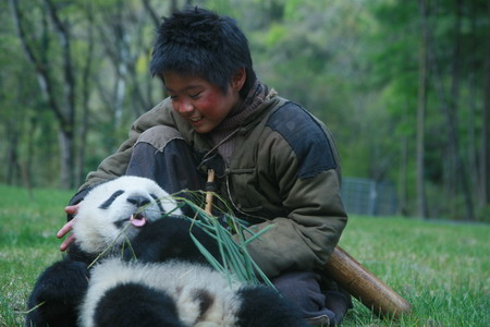 Pandering to every whim - a real panda movie!