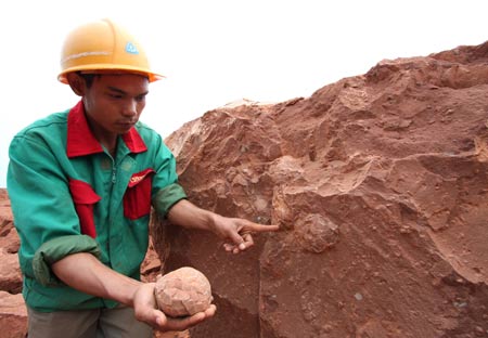 A construction worker shows the dinosaur egg fossils at a construction site in Nankang, east China's Jiangxi Province, on May 7, 2009. Some 22 round dinosaur egg fossils, with the diameter of 10-12 centimeters, were found here recently.