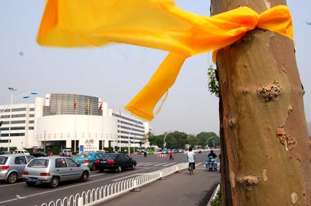 Photo taken on May 12, 2009 shows a yellow ribbon tied on a tree on a street in north China's Tianjin. Volunteers tied thousands of yellow ribbons on buses, buildings and trees as a way to commemorate the victims of the May 12, 2008 Wenchuan earthquake. 