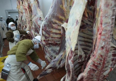 Staff-members from Venezuelan Health Ministry inspect the pork to be exported to Venezuela in Managua, capital of Nicaragua, on May 13, 2009. A special inspection and quarantine team sent by Venezuelan Health Ministry arrived in Managua on Wednesday to start the inspection task on pork to be exported to Venezuela.