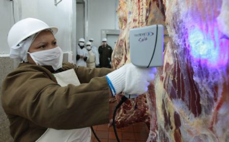 Staff-members from Venezuelan Health Ministry inspect the pork to be exported to Venezuela in Managua, capital of Nicaragua, on May 13, 2009. A special inspection and quarantine team sent by Venezuelan Health Ministry arrived in Managua on Wednesday to start the inspection task on pork to be exported to Venezuela.