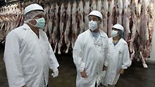 Staff-members from Venezuelan Health Ministry inspect the pork to be exported to Venezuela in Managua, capital of Nicaragua, on May 13, 2009. A special inspection and quarantine team sent by Venezuelan Health Ministry arrived in Managua on Wednesday to start the inspection task on pork to be exported to Venezuela.