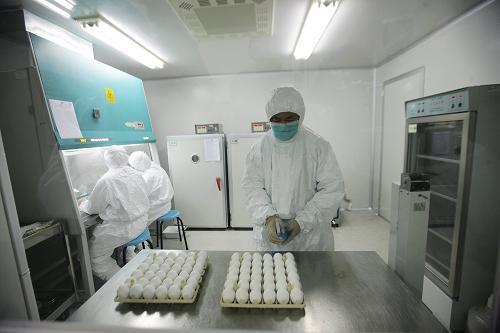 Researchers with Sinovac Biotech Company begin preparation work to manufacture A/H1N1 influenza vaccine for human use Monday evening, after China receives flu virus 'NYMCX-179A' from the World Health Organization, a key ingredient for a A/H1N1 vaccine, on Monday, on June 8, 2009.