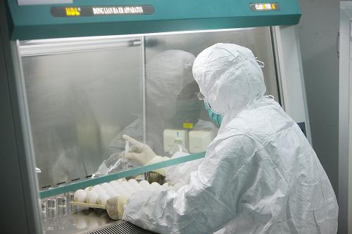 A researcher with Sinovac Biotech Company begins preparation work to manufacture A/H1N1 influenza vaccine for human use Monday evening, after China receives flu virus 'NYMCX-179A' from the World Health Organization, a key ingredient for a A/H1N1 vaccine, on Monday, on June 8, 2009.