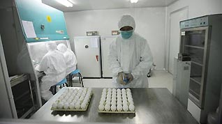 Researchers with Sinovac Biotech Company begin preparation work to manufacture A/H1N1 influenza vaccine for human use Monday evening, after China receives flu virus 'NYMCX-179A' from the World Health Organization, a key ingredient for a A/H1N1 vaccine, on Monday, on June 8, 2009.