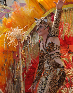 Samba fan performs along a street in the center of Helsinki, capital of Finland, June 13, 2009. The 19th Samba Carnival was held in Helsinku on Saturday, attracting thousands of people to participate in this festival.