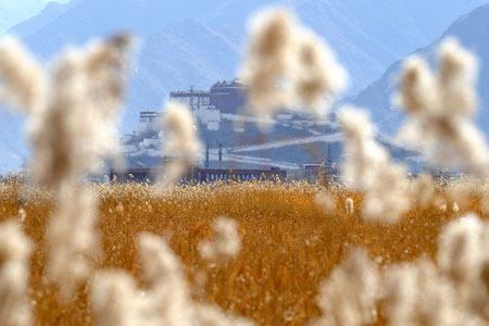 Photo taken on February 1, 2009, shows Lhalu Wetland, northern Lhasa, southwest China's Tibet Autonomous Region.