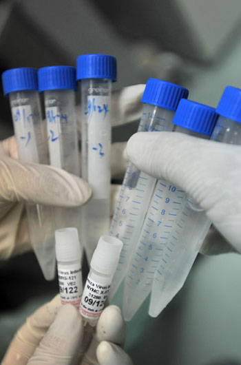 Researchers inoculate the virus strains of the influenza A/H1NI for cuvette cultivation of its vaccination, at a lab of the Wuhan Institute of Biological Products in Wuhan, central China's Hubei Province, on June 17, 2009. 