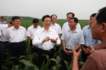 Chinese President Hu Jintao (C) talks with farmers in a corn field in Wuliming Town of Zhaodong City, northeast China's Heilongjiang Province.