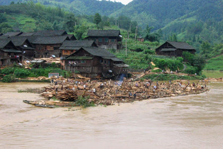 Villagers collect wood in the flood in Gaoji Village in Sanjiang County in southwest China's Guangxi Zhuang Autonomous Region, on July 2, 2009. A heavy storm hit Gaoji Village, Heping Village, Danzhou Village etc. in Sanjiang County from Wednesday night to Thursday morning, which caused floods in these areas. The rescuing work was undergoing. 