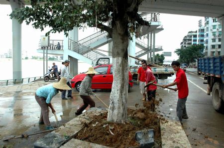 The gardeners replant the street trees along the Liujiang River after the flood receded in Liuzhou City of southwest China's Guangxi Zhuang Autonomous Region, on July 7, 2009. The flood passing through Liujiang River receded on July 6 and local people began to clean the city and restore the basic facilities. 