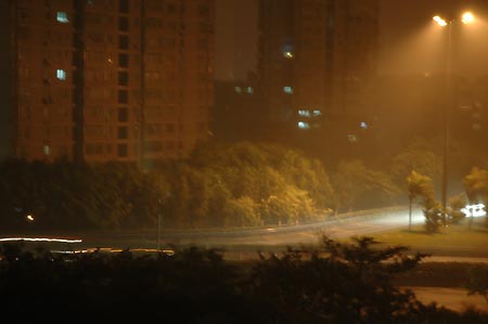 Photo taken at about 2:30 AM Beijing Time on July 19, 2009 shows the swaying trees in the rainstorm along the Binhe Avenue in downtown Shenzhen City, south China's Guangdong Province. 