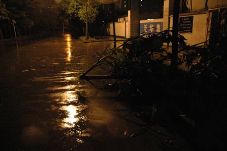 Photo taken at about 4:30 AM Beijing Time on July 19, 2009 shows a broken tree in the rainstorm on a street in downtown Shenzhen City, south China's Guangdong Province.