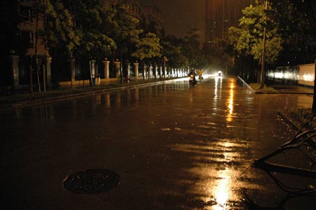 Photo taken at about 4:30 AM Beijing Time on July 19, 2009 shows a street in the rainstorm in downtown Shenzhen City, south China's Guangdong Province.