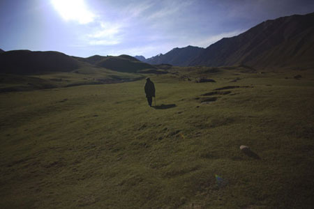 A herdsman walks in a summer pasture in Wensu County of northwest China's Xinjiang Uygur Autonomous Region, July 20, 2009. (Xinhua/Cai Yang) 