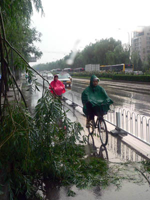 Chinese people cycle past tree branches broken by strong wind in a heavy rainfall on a road in Beijing, capital of China, on July 22, 2009. A heavy rainfall hit China&apos;s capital city on Wednesday evening.