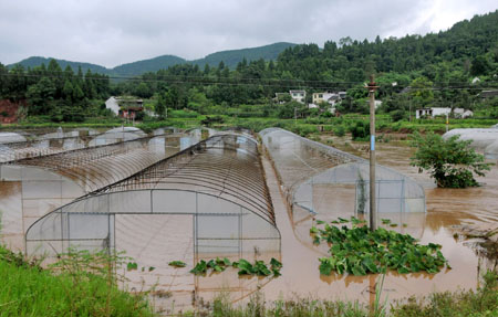 Greenhouses for vegetables were in flood in Changlin township of Xichong county, southwest China's Sichuan Province, August 1, 2009.