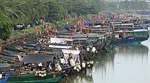 Boats are anchored in a harbor to take shelter from tropical storm in Haikou, capital of south China's Hainan Province, on August 4, 2009. Tropical storm Goni, formed in the Pacific near Hainan on Monday, is forecast to strike China.