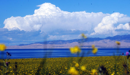 Photo taken on August 3, 2009 shows part of the summer scenery of Qinghai Lake. Located in northeast part of Qinghai-Tibet Plateau with an altitude of over 3,200 meters, Qinghai Lake, covering an area of 4,300 square km, and about 150 kilometers west of Xining, capital of northwest China's Qinghai Province, is the largest lake, and also the largest salt-water lake in China as well as an important ecological and natural reserve.