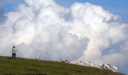 Photo taken on August 3, 2009 shows part of the summer scenery of Qinghai Lake. Located in northeast part of Qinghai-Tibet Plateau with an altitude of over 3,200 meters, Qinghai Lake, covering an area of 4,300 square km, and about 150 kilometers west of Xining, capital of northwest China's Qinghai Province, is the largest lake, and also the largest salt-water lake in China as well as an important ecological and natural reserve.