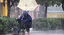 A local struggles in the rain in Guangzhou, capital of south China's Guangdong Province, on August 5, 2009. The tropical storm Goni landed at a speed of 83 km per hour early Wednesday morning in Taishan of Guangdong Province, according to local meteorological station.