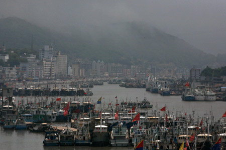 Fishing vessels are seen in the Shenjiamen Port to avoid typhoon in Zhoushan City, east China's Zhejiang Province, on August 6, 2009.