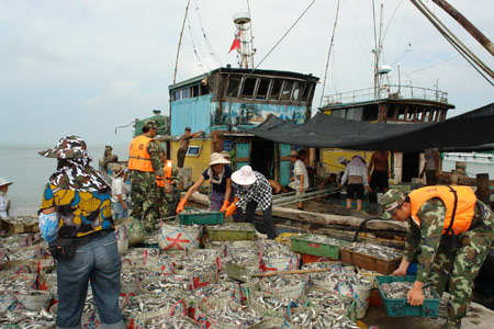 Soldiers help fishermen transport cases of fish in Putian City of southeast China's Fujian Province, on August 6, 2009.