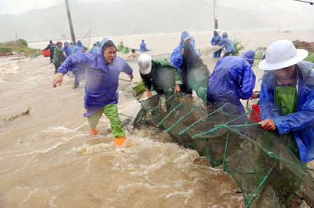 People save cultured mudskippers at Hongshan Village in Xiapu County, southeast China's Fujian Province, on August 9, 2009. Typhoon 'Morakot' landed in Fujian Province on Sunday afternoon.