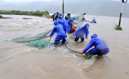 People save cultured mudskippers at Hongshan Village in Xiapu County, southeast China's Fujian Province, on August 9, 2009. 