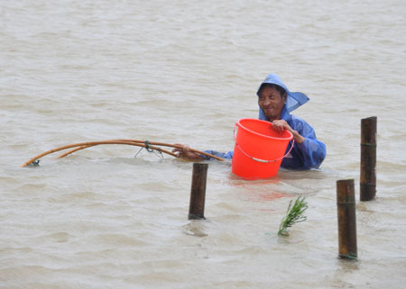 A man saves cultured mudskippers at Hongshan Village in Xiapu County, southeast China's Fujian Province, on August 9, 2009. 