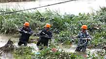Power technicians draw a wire rope to reestablish power tower destroyed by Typhoon Morakot at Ruian, east China's Zhejiang Province, on August 10, 2009. The local government organized the people in the typhoon-stricken area to rebuild their homes on monday right after the Typhoon faded away.