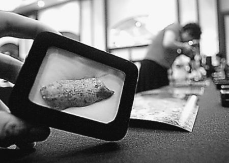 A piece of bone discovered from the cave site. 