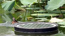 Photo taken on August 14, 2009 shows a solar energy water cleaning device located in a lake in Zizhuyuan Park in Beijing, capital of China.