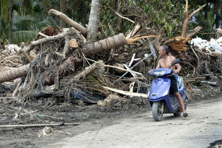 A farmer looks over a damaged banana plantation in Kaohsiung, southeast China's Taiwan Province, on August 14, 2009. The storm brought by typhoon Morakot resulted in serious damage and great casualties in the south of Taiwan since late last week.