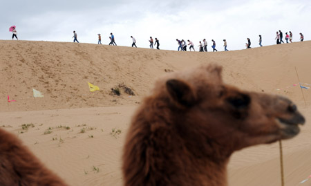 Visitors enjoy themselves in the Daotanghe scenic area on the Qinghai-Tibet Plateau of northwest China's Qinghai Province, on August 14, 2009.