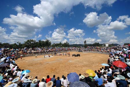 Local people and tourists watch bulls fighting against each other during the bull-fighting season organized by local Chinese villagers of Miao ethnic group at Gaotang Township near Guiyang, capital city of southwest China's Guizhou Province, on August 22, 2009.