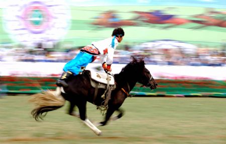 A contestant puts on the stunt show of equestrian during the opening ceremony of the first traditional sports meeting of the ethnic groups of Baotou City, north China's Inner Mongolia Autonomous Region, August 25, 2009.