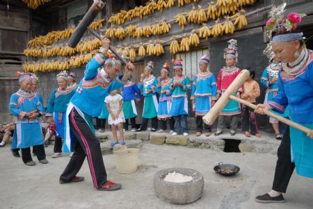 Women of the Miao ethnic group pound glutinous rice for cooking to celebrate the Chixin Festival, or New Grain Tasting Festival, in a village of the Miao ethnic group in Duyu City of southwest China's Guizhou Province, August 28, 2009.