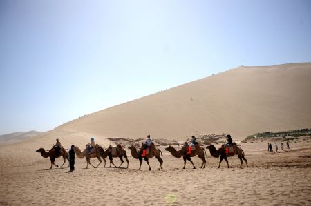 Tourists cruise on camels at Mingsha Mountain in Dunhuang, northwest China's Gansu Province, August 30, 2009.