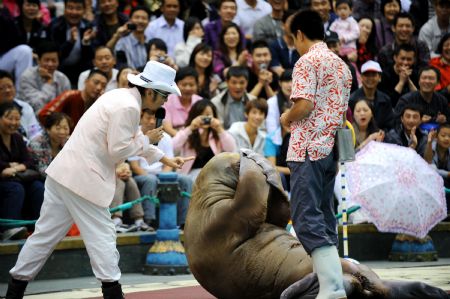 VVisitors watch walrus show at Dalian Laohutan Ocean Park in Dalian, northeast China&apos;s Liaoning Province, September 7, 2009. Over 1,300 pariticipants from 86 countries and regions will attend the Annual Meeting of the New Champions 2009, or Summer Davos, to be held from September 10 to 12 in Dalian, a famous tourist resort and commercial city in China.