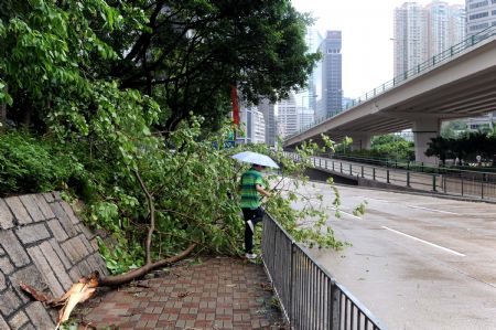 Photo taken on September 15, 2009 shows the street view after the tropical storm Koppu in Hong Kong, south of China. The Hong Kong Observatory issued a No. 3 strong wind signal on Tuesday morning to replace the No. 8 storm signal issued Monday. 
