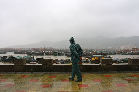 A man watches fishing boats at a harbor in Yangjiang City, south China's Guangdong Province, September 15, 2009. Typhoon Koppu staged a landing Tuesday morning on the coast of southern China's Guangdong Province, bringing about gales and rainstorm with a top precipitation at 148.5 mm in the province. In Yangjiang city, 1,140 fishing boats have returned to harbor. 