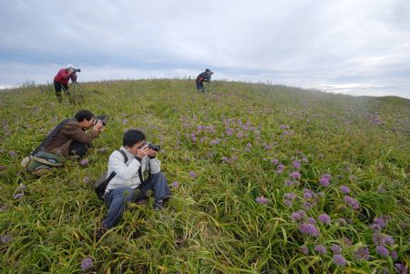 Tourists take photos for the blossoming leek plants in Hezhang, southwest China's Guizhou Province, September 22, 2009. A leek flower cultural festival opened on Tuesday in Hezhang county that grows wild leek plants of more than 30 square kilometers.