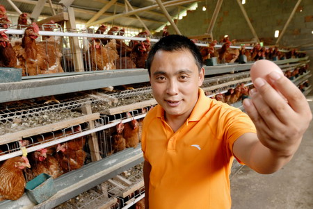 Chicken producers up in arms against cheap US imports