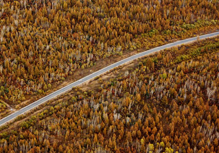 Aerial photo taken on September 23, 2009 shows the scenery of the Greater Khingan range in north China's Inner Mongolia Autonomous Region. The local eco-environment has witnessed a great improvement thanks to the local government's efforts to restore the eco-system. 